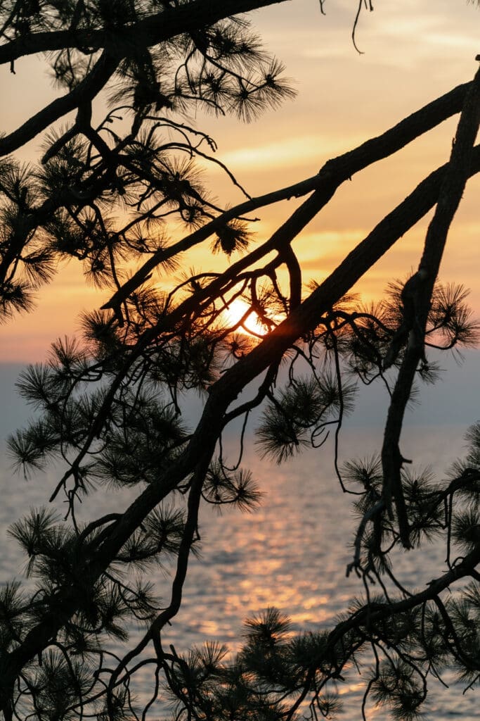Sunset light filtering through pine trees above Lake Tahoe at Thunderbird Lodge wedding venue